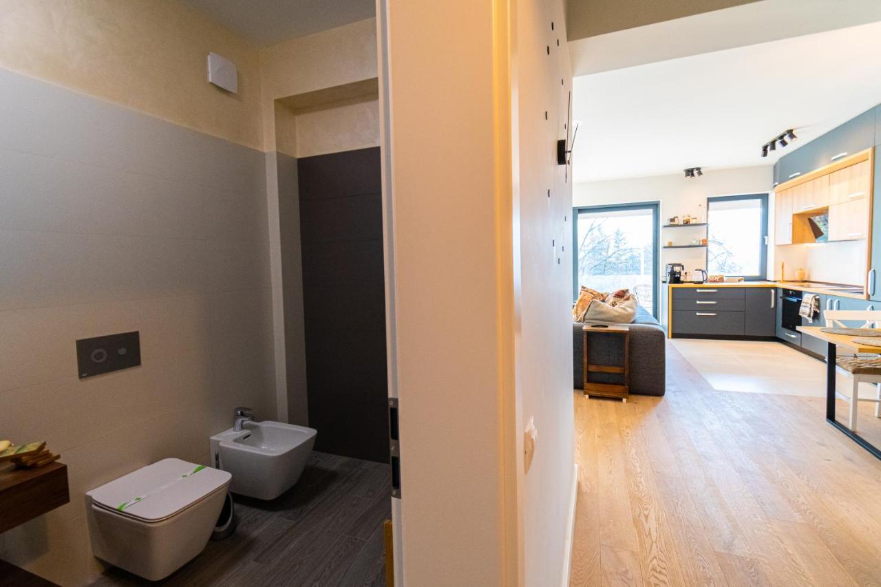 Mirador Bohemian Apt With Views Over Old Town And Tampa Mountain, Near Poiana براشوف المظهر الخارجي الصورة