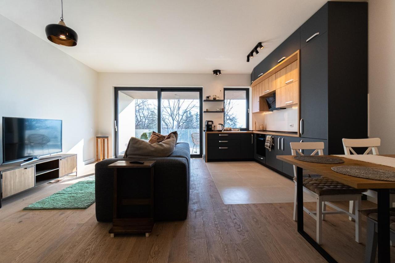Mirador Bohemian Apt With Views Over Old Town And Tampa Mountain, Near Poiana براشوف المظهر الخارجي الصورة